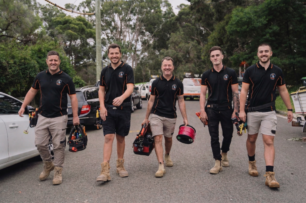 Professional electrical services in Elizabeth Bay